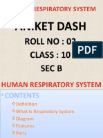 Human Respiratory System Aniket Das