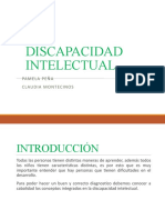 Discapacidad Intelectual 1