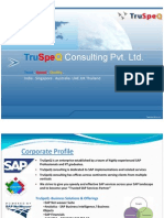 TruSpeQ SAP Services Overview - 01