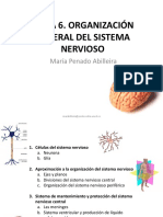 TEMA 6 Diapositivas Penado