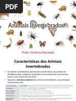 Animais Invertebrados