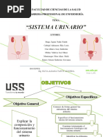 Diapositivas Sustentación Grupo 1 AP1 AFII