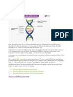 What Is DNA