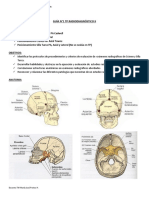 Guía N1 TP Radiodiagnóstico II