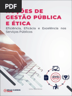 Eficiencia Eficacia Excelencia Nos Servicos Publicos E1668172167