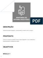 Anatomia Do Sistema Digestório