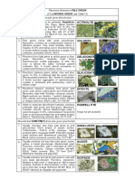 Tabla Identificacion Minerales Verdes