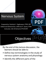 Nervous System