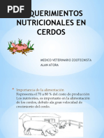 Requerimientos Nutricionales para Cerdos