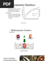 Melhoramento Dendê