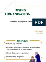 2 Diagnosing Organisation ASIN IO 2017