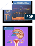 PowerPoint Ciclo Ovariano e Menstrual.