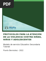 Plan Protocolos de Prevencion de La Violencia (Formato) - 1