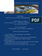 Infografia - Situacion Ambiental