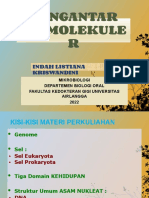 Pengantar Biomolekuler 2022