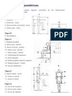 Data Antropométrica y Tabla Z