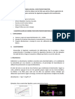 Cuantificación Por Espectrofotometría en El Uv-Visible - Grupo 4B