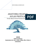 Apostila de Aula Prática - ANATOMIA VEGETAL - Aluno