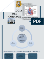 Fisiologia Del Corazon