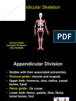 Appendicular Skeleton Stds