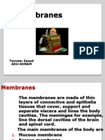 Membranes 