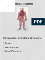 Sistema Circulatorio