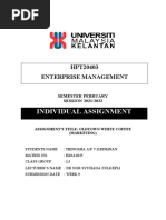 Enterprise Management Individual Assignment