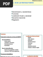 Tema 2. - Vía de Las Pentosas Fosfato