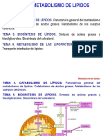 Tema 4. - Catabolismo de Lípidos.