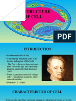 Structure of Cell