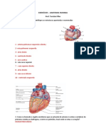 Anatomia Humana Prova Revisao