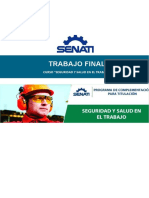 TRABAJO FINAL - Seguridad Salud Trabajo