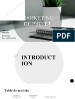 Marketing de Projet