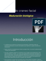 Maduración Biológica 3