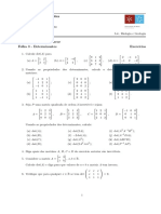 3.z.determinantes Exercicios FM