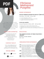 Fitriana Maharani Puspita: Work Experience