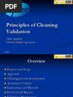 Cleaning Validation Pres