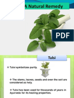 12 Tulsi