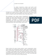 Materi Sistem Saraf