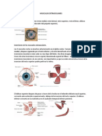 Musculos Extraoculares