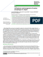 Rewiew-Clinical Features and Prognosis of Canine