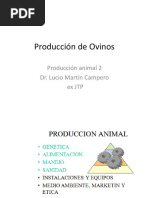 Producción de Ovinos Historia y Origen - Autor: Lucio Martín Campero