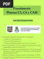 Plantasc3 C4 Cam - 2020