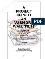 Varmora's Project Report