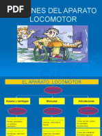 Lesiones Sistema Locomotor