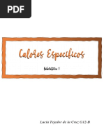 Calores Especificos-PRACTCA LAB