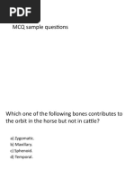 MCQ Exam Sample Questions