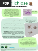 Erlichiose - A Famosa Doença Do Carrapato