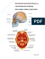 Curso de Introducción Al Masaje (Anatomía y Signos Vitales)