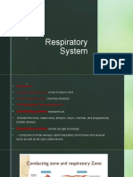 Respiratory System